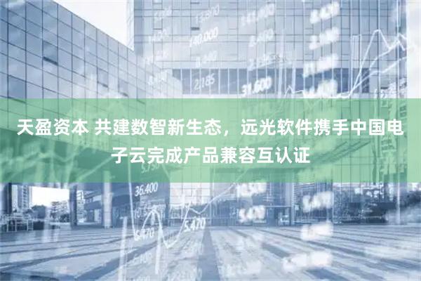 天盈资本 共建数智新生态，远光软件携手中国电子云完成产品兼容互认证