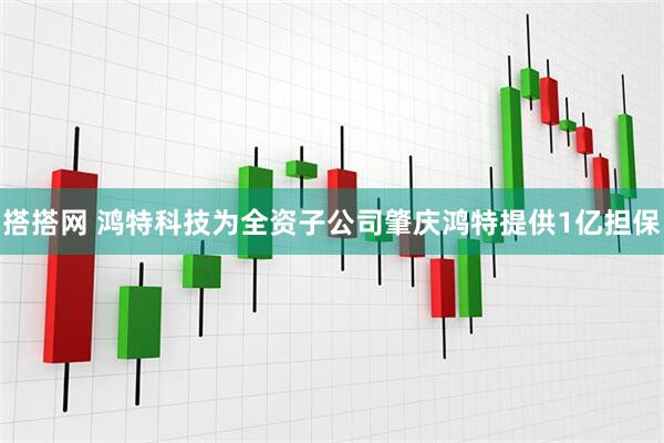 搭搭网 鸿特科技为全资子公司肇庆鸿特提供1亿担保