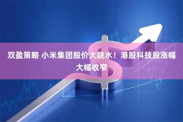 双盈策略 小米集团股价大跳水！港股科技股涨幅大幅收窄