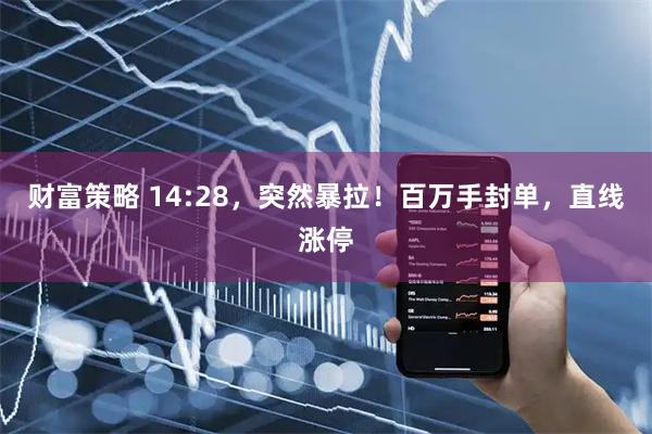财富策略 14:28，突然暴拉！百万手封单，直线涨停