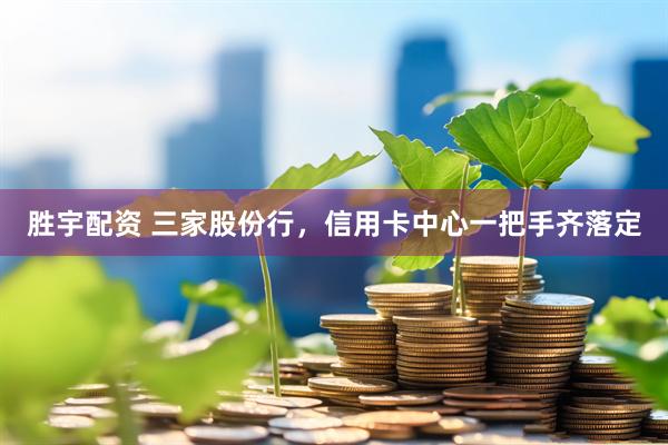 胜宇配资 三家股份行，信用卡中心一把手齐落定
