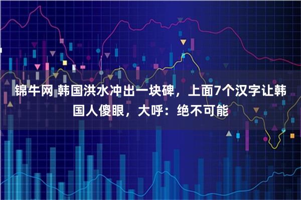锦牛网 韩国洪水冲出一块碑,上面7个汉字让韩国人傻眼,大呼:绝不可能