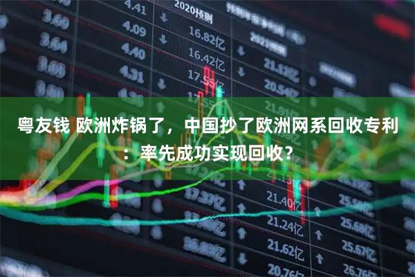 粤友钱 欧洲炸锅了,中国抄了欧洲网系回收专利:率先成功实现回收?